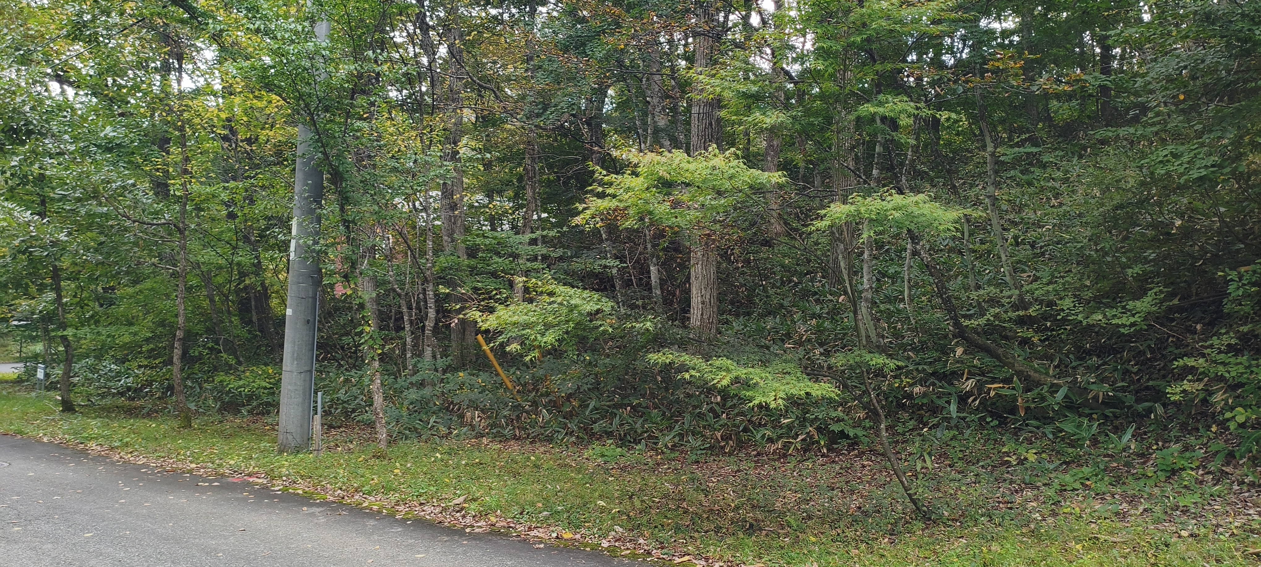 Photo of Property 3-1